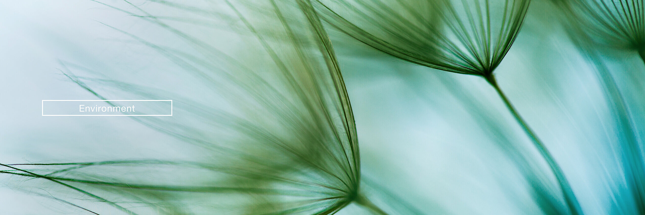 Environment